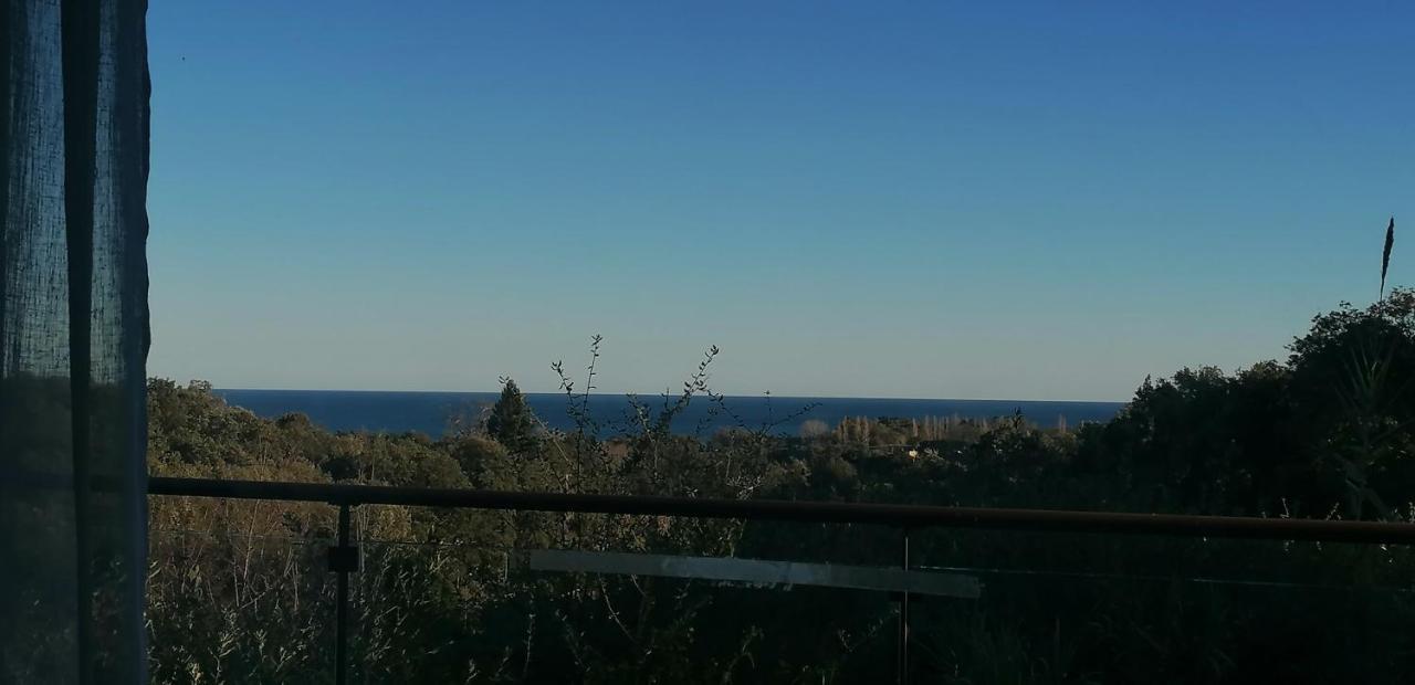 Villa Angelini Valle-di-Campoloro Esterno foto
