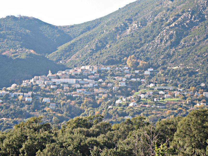 Villa Angelini Valle-di-Campoloro Esterno foto