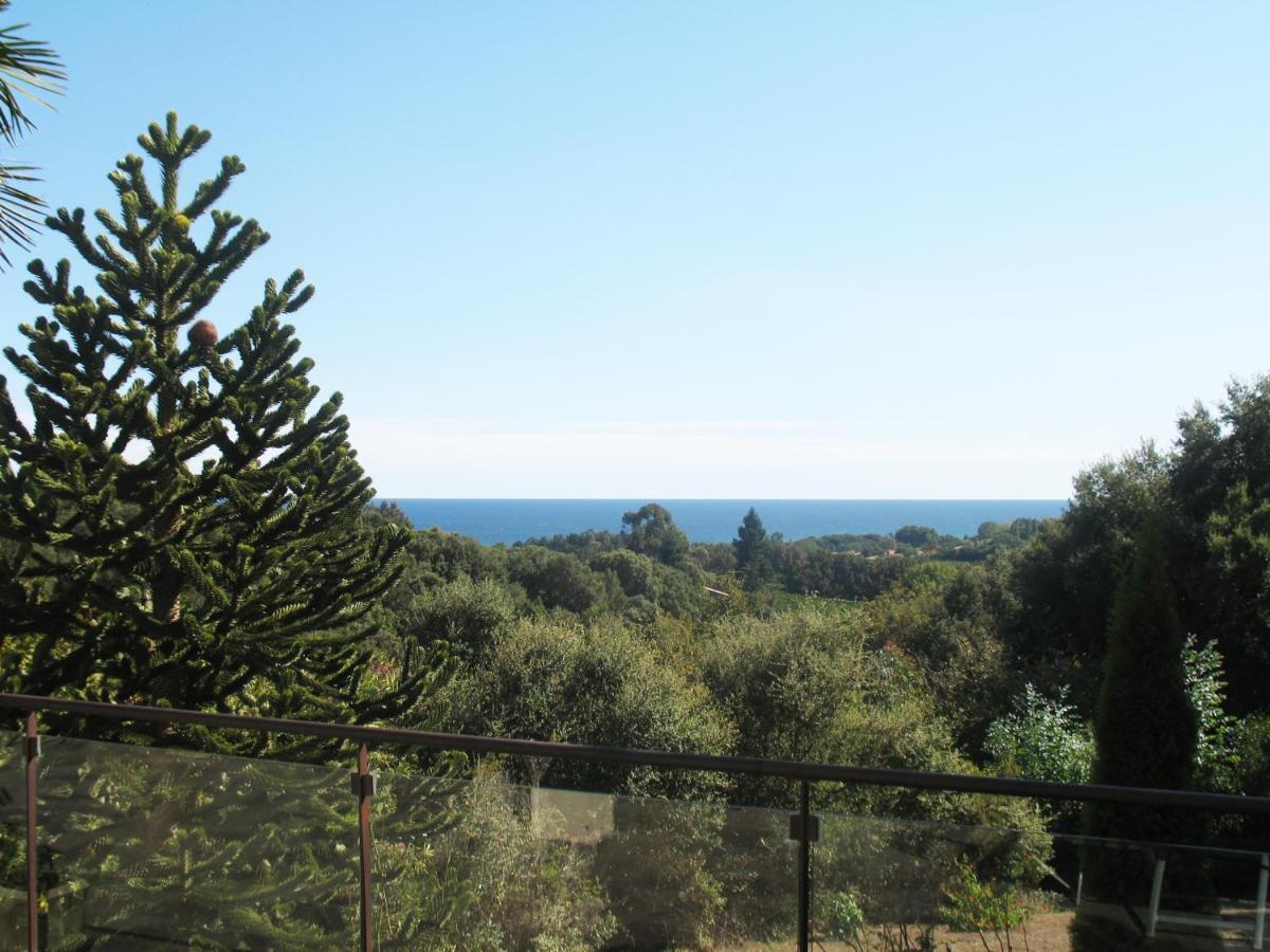 Villa Angelini Valle-di-Campoloro Esterno foto